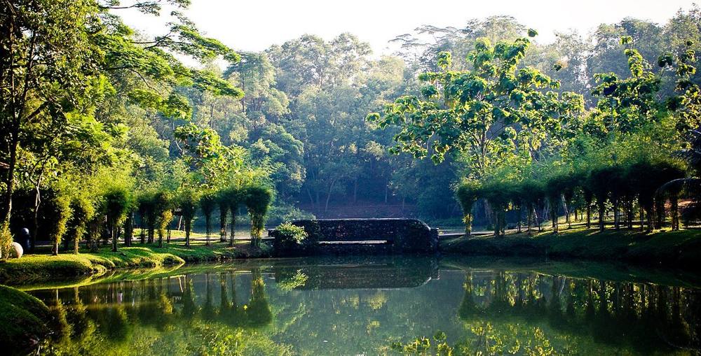 Still pond and shaded forest edge at Hutan Bandar, the urban forest in Johor Bahru